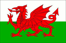 Welsh dragon image